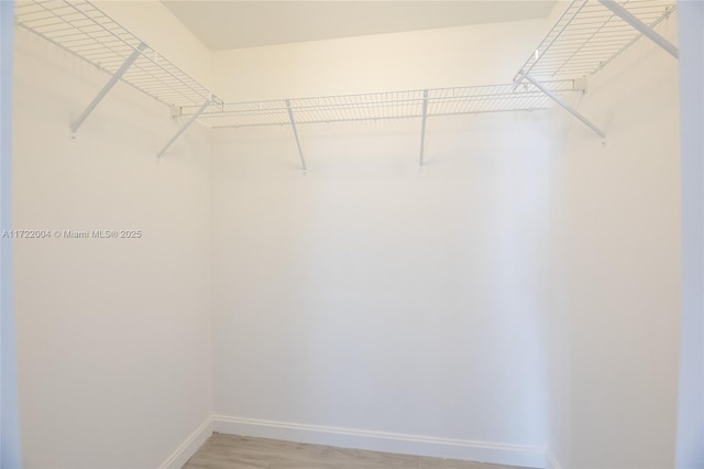 view of spacious closet