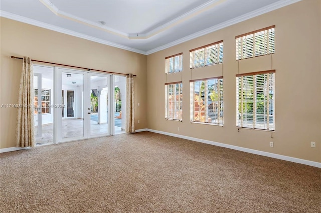 unfurnished room with carpet floors, ornamental molding, and a tray ceiling