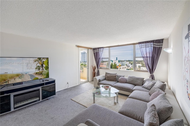 living room featuring a textured ceiling and carpet floors
