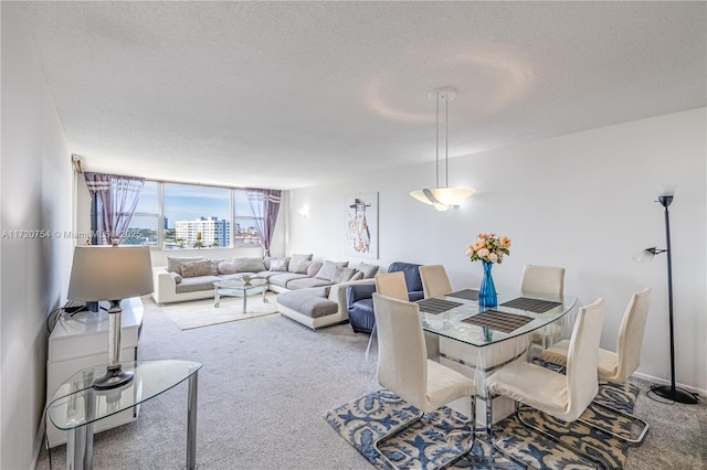 carpeted living room with a textured ceiling and a city view