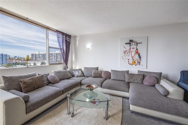 living room with a textured ceiling and a city view