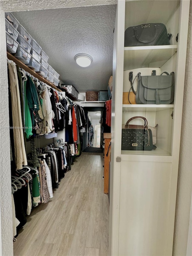 spacious closet with hardwood / wood-style floors