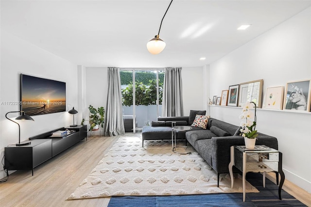 living room with hardwood / wood-style flooring and a wall of windows