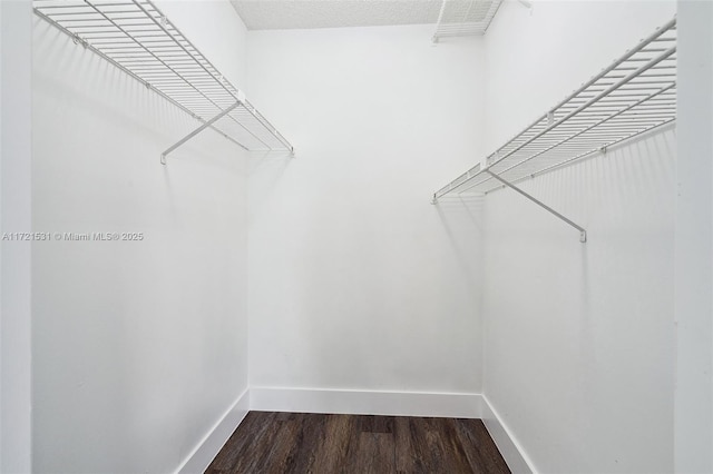 spacious closet with wood-type flooring