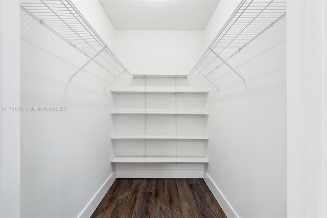 walk in closet featuring dark hardwood / wood-style floors