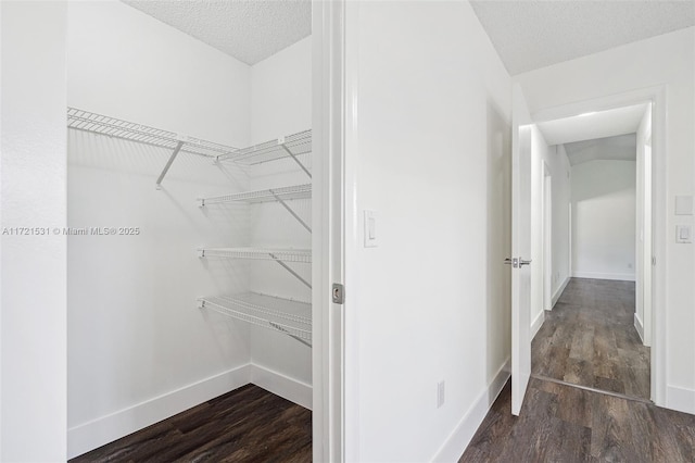 walk in closet featuring dark wood-type flooring