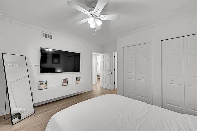 bedroom featuring crown molding, two closets, ceiling fan, and light hardwood / wood-style flooring