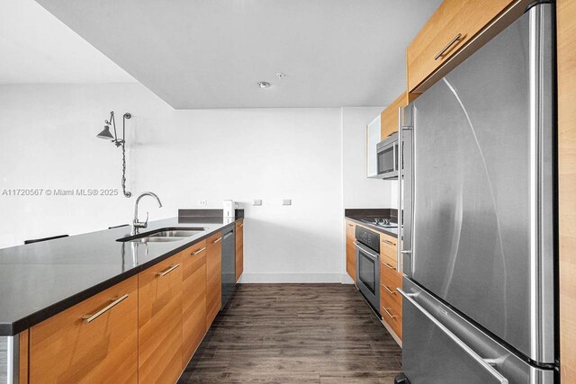 kitchen with dark hardwood / wood-style floors, sink, and appliances with stainless steel finishes