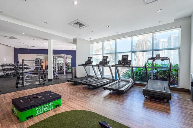 gym with hardwood / wood-style floors and expansive windows