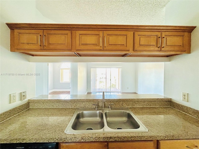 kitchen featuring dishwashing machine and sink