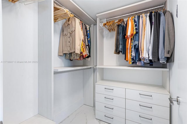 view of walk in closet