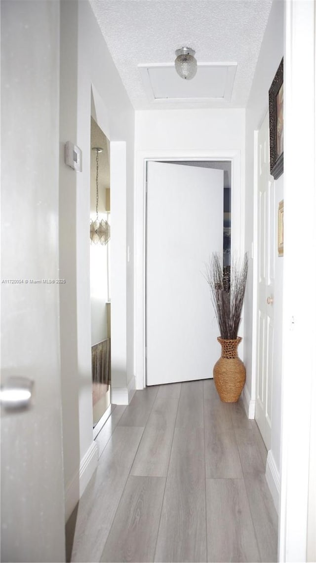 corridor featuring light wood-type flooring and a textured ceiling