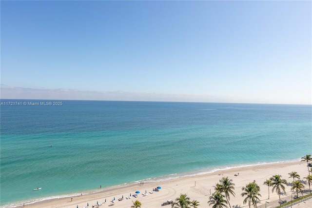 water view featuring a beach view