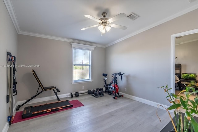 exercise room featuring ceiling fan, crown molding, and light hardwood / wood-style floors