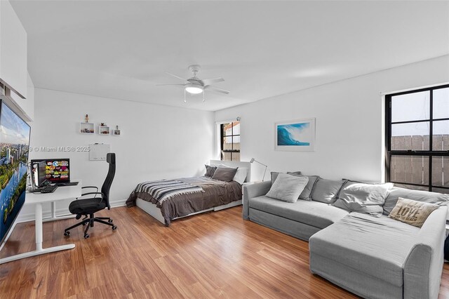 bedroom featuring light hardwood / wood-style flooring and ceiling fan