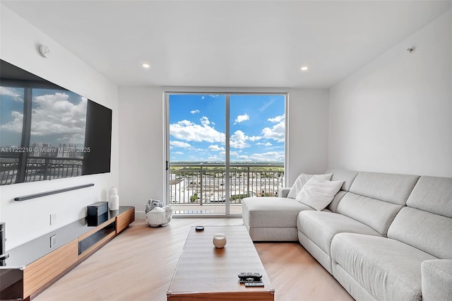 living room with light hardwood / wood-style flooring and a wall of windows