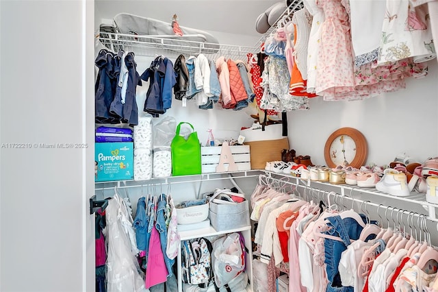 view of spacious closet