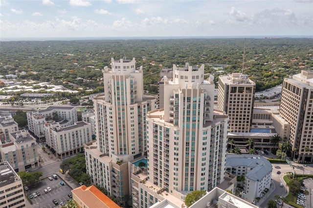 drone / aerial view