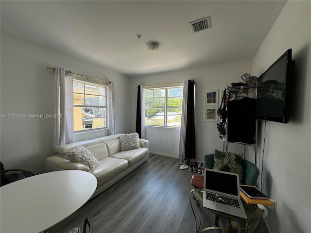 living room featuring hardwood / wood-style floors