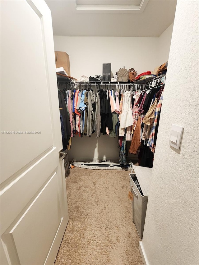 walk in closet featuring carpet floors