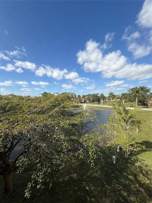 property view of water