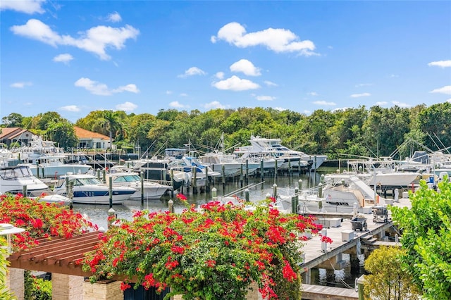 dock area with a water view