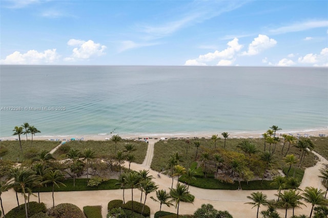 water view with a view of the beach