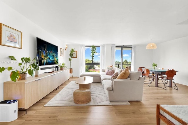 living room featuring light hardwood / wood-style flooring and a wall of windows