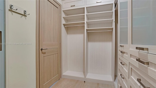 view of walk in closet