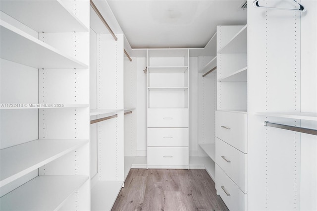 spacious closet featuring light wood-type flooring