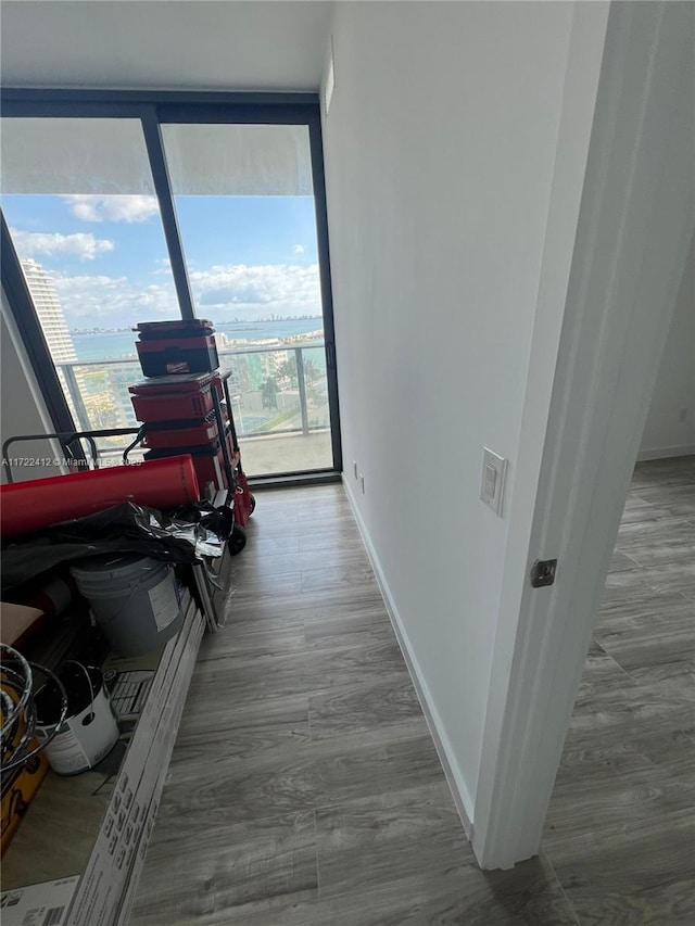 hallway featuring floor to ceiling windows and plenty of natural light