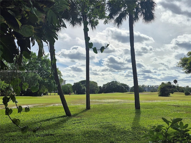 view of property's community with a yard