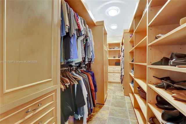 view of walk in closet