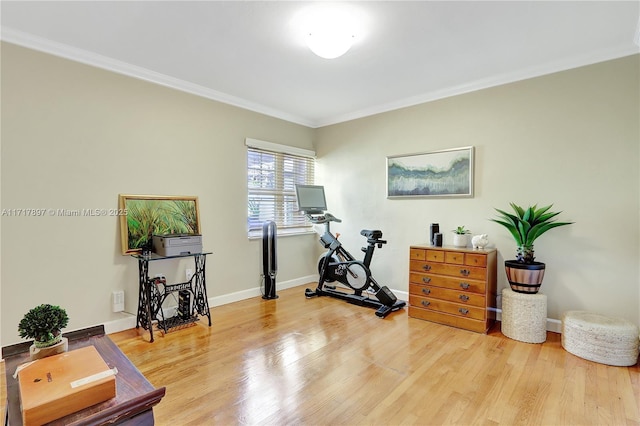 interior space featuring hardwood / wood-style flooring and ornamental molding