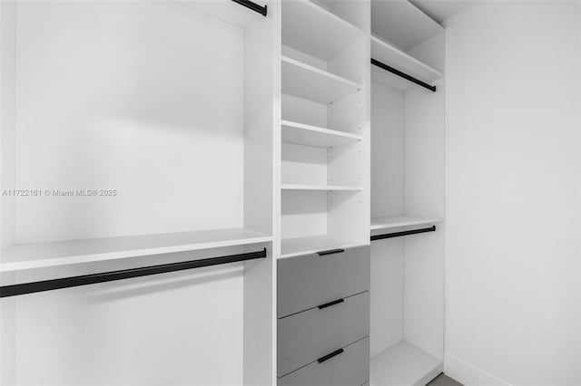 view of spacious closet