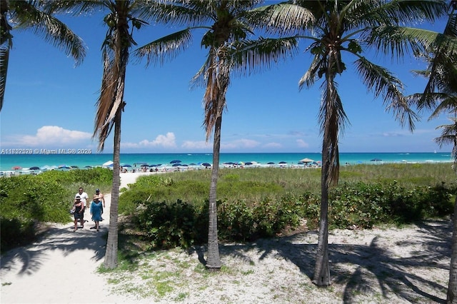 water view featuring a view of the beach