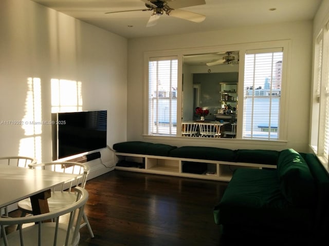 living room featuring ceiling fan and dark hardwood / wood-style floors