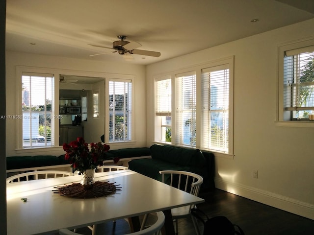 dining area featuring hardwood / wood-style floors, ceiling fan, and a wealth of natural light