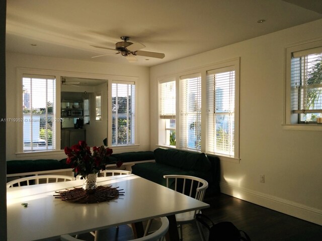 dining room featuring baseboards, plenty of natural light, and wood finished floors