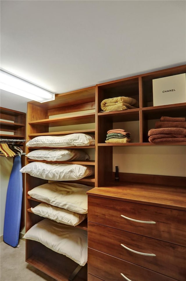 view of spacious closet