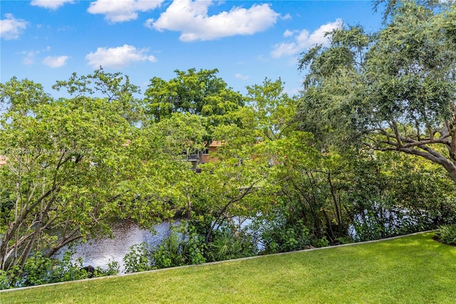 view of water feature