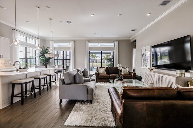 living room featuring crown molding, dark hardwood / wood-style flooring, and sink