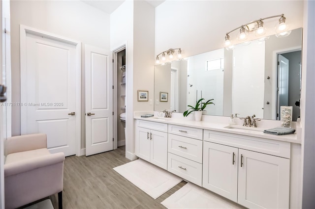 bathroom with vanity and wood-type flooring