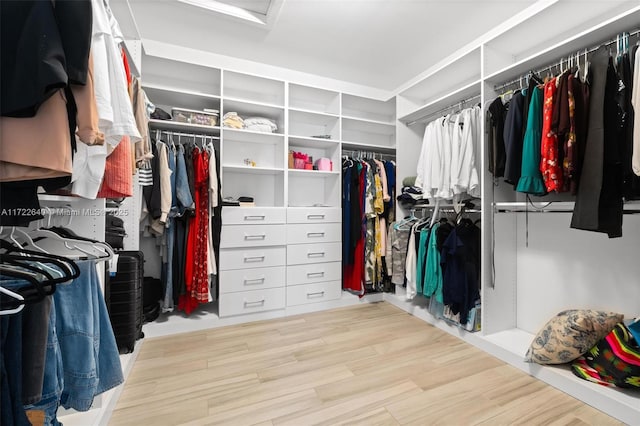 walk in closet with light hardwood / wood-style floors