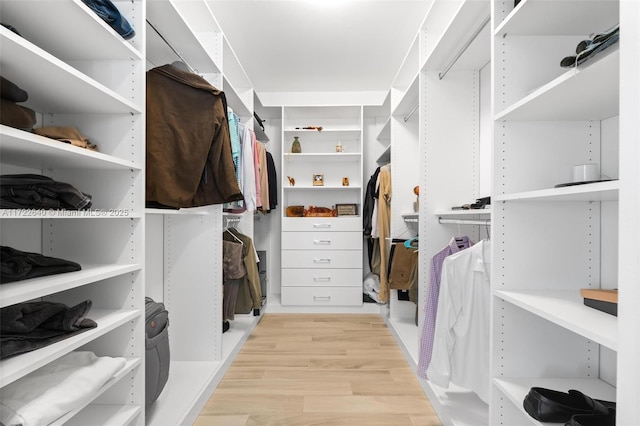 walk in closet featuring light hardwood / wood-style floors