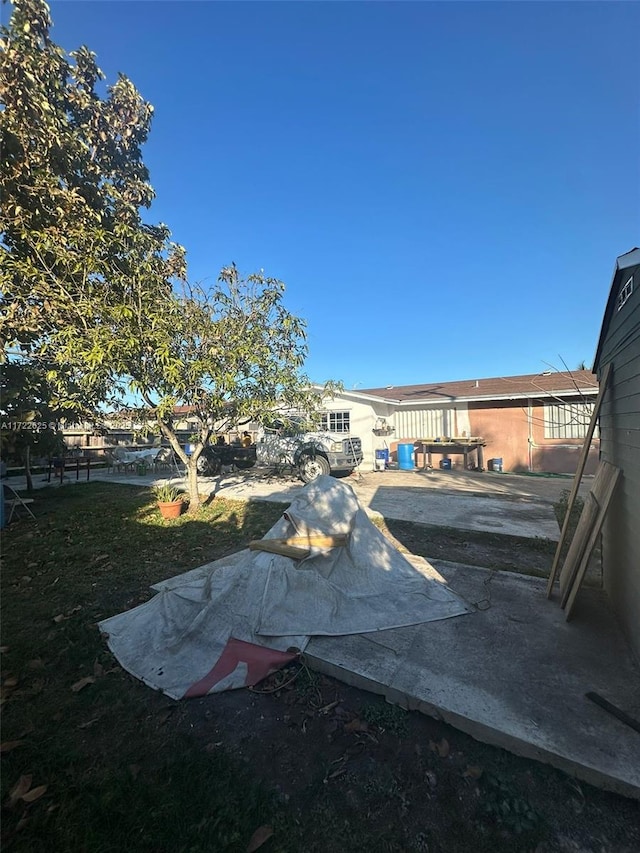 view of yard featuring a patio area