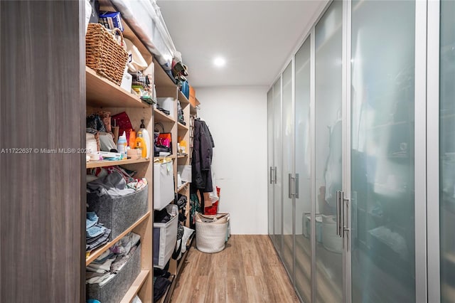 walk in closet with wood-type flooring