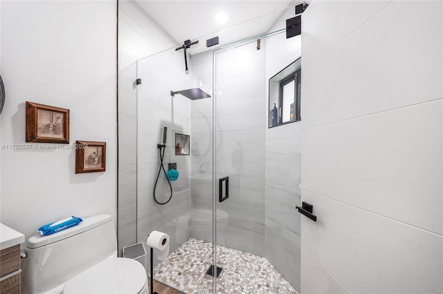 bathroom with vanity, a shower with shower door, and toilet