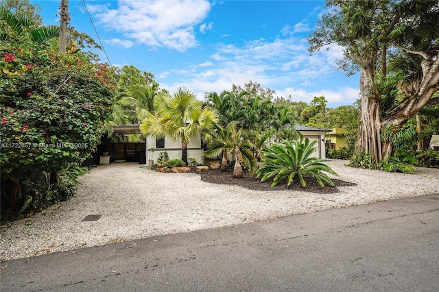 view of front of home featuring a carport