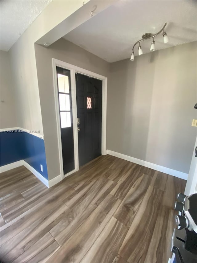 foyer entrance featuring wood-type flooring